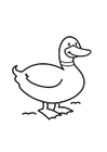 Dibujo para colorear pato
