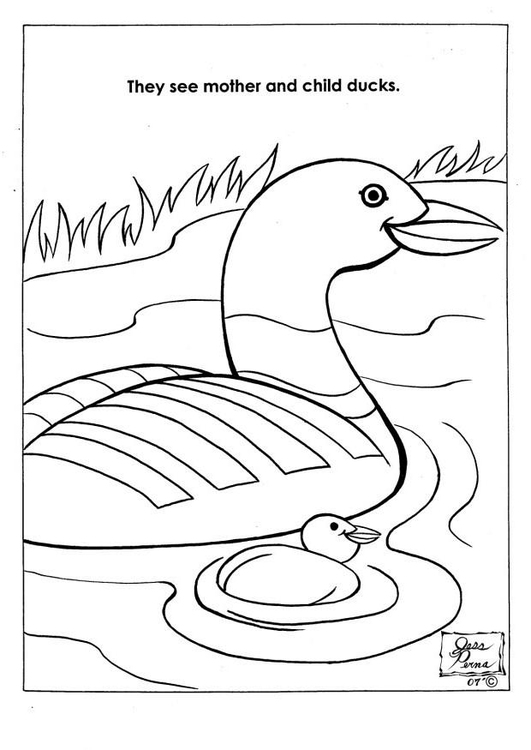 Dibujo para colorear Patos en parque natural