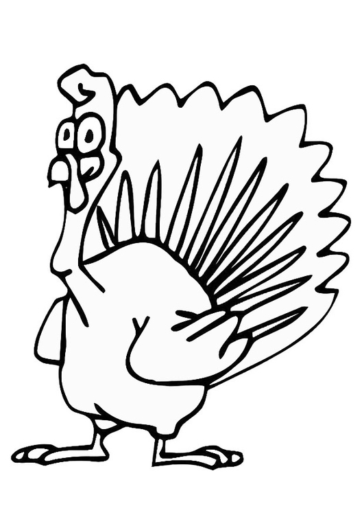 Dibujo para colorear pavo