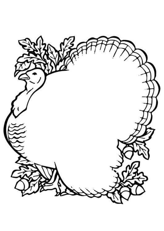 Dibujo para colorear pavo