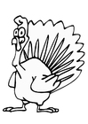 Dibujo para colorear pavo