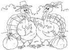 pavos
