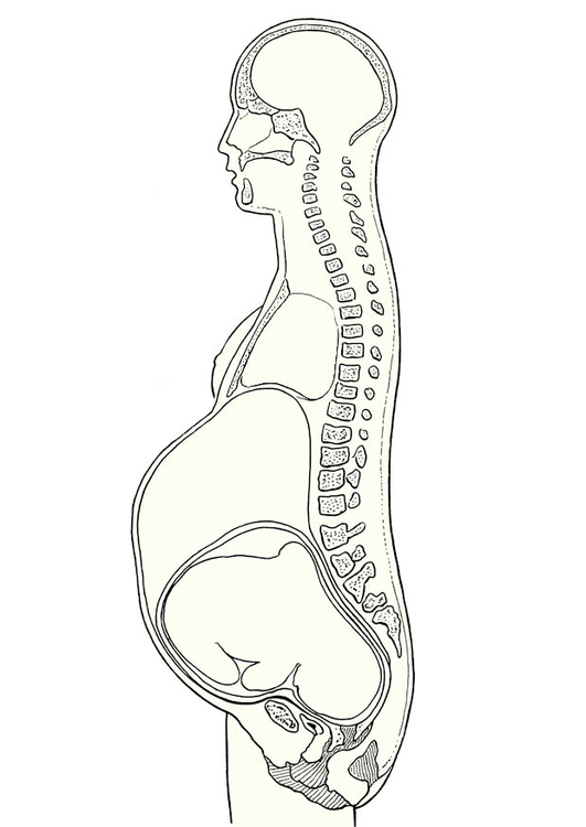 Dibujo para colorear perfil de embarazo