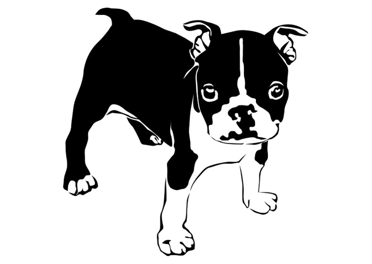 Dibujo para colorear perro - bulldog francÃ©s