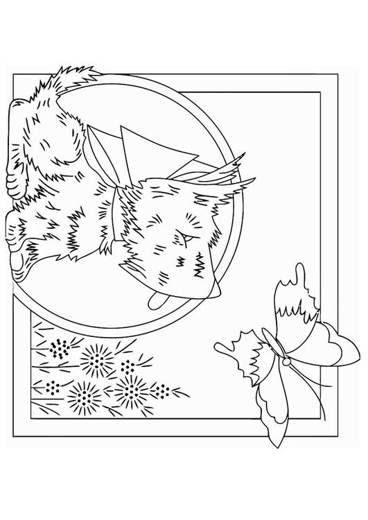 Perro con mariposa