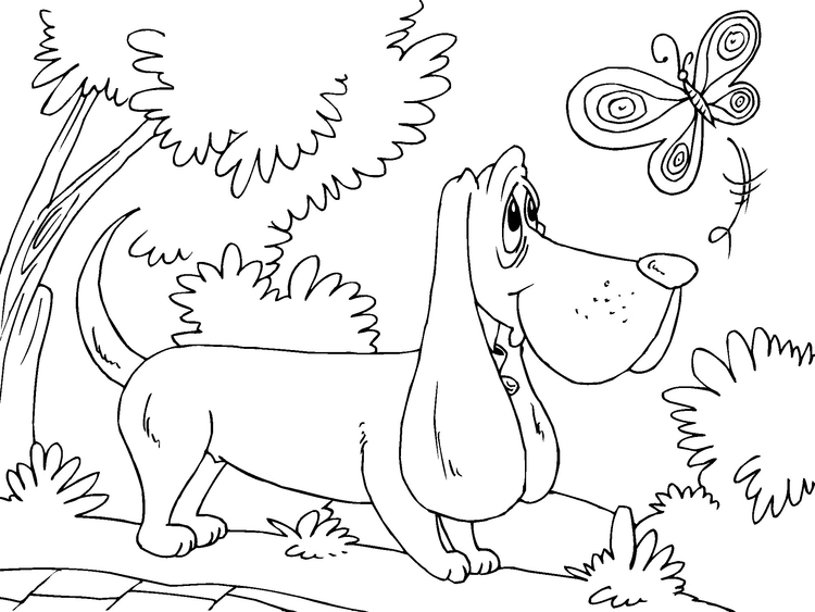 Dibujo para colorear perro de caza