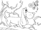 dibujo-para-colorear perro de caza