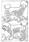 Dibujos para colorear perro de lanas