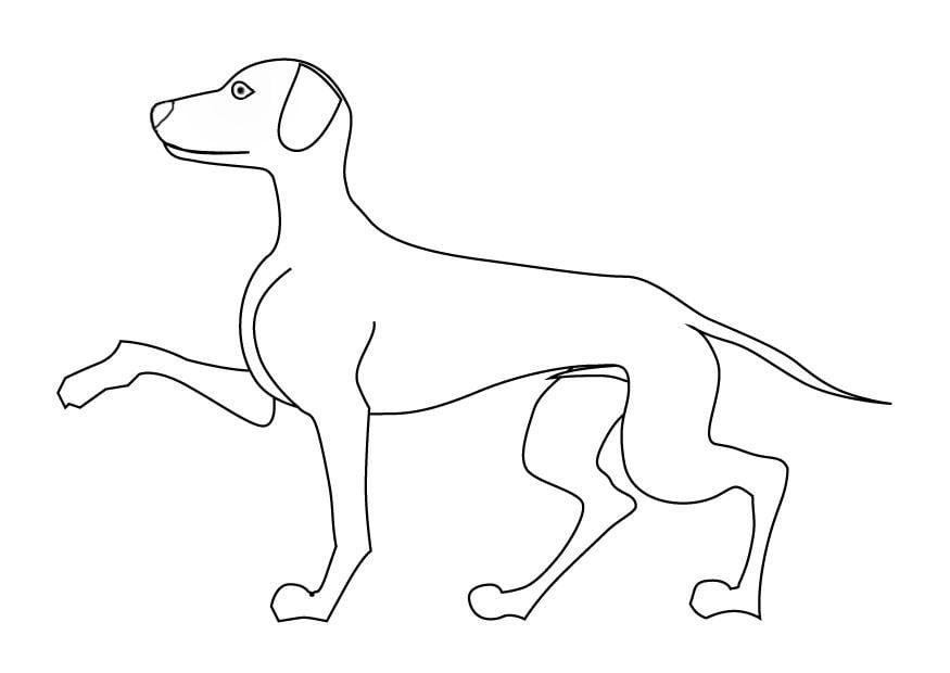Dibujo para colorear Perro