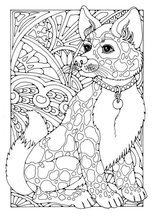 perro
