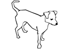 Dibujos para colorear Perro