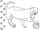 Dibujo para colorear Perro