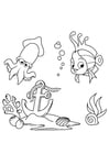 Dibujos para colorear pescado y calamar
