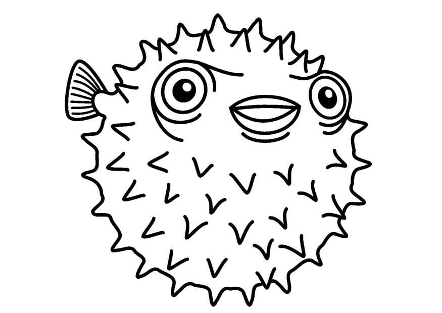 Dibujo para colorear pez erizo