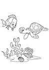 Dibujos para colorear pez y tortuga de agua