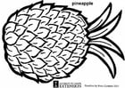 Dibujo para colorear PiÃ±a