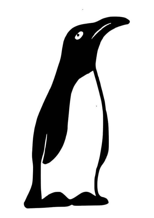 Dibujo para colorear pingÃ¼ino