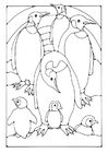 Dibujos para colorear pingüino