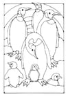 Dibujos para colorear pingüino