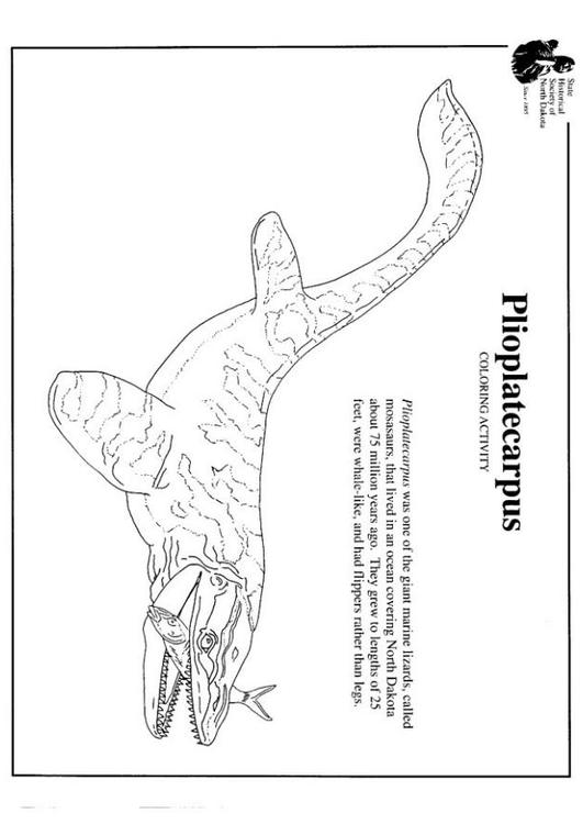 Plioplatecarpus