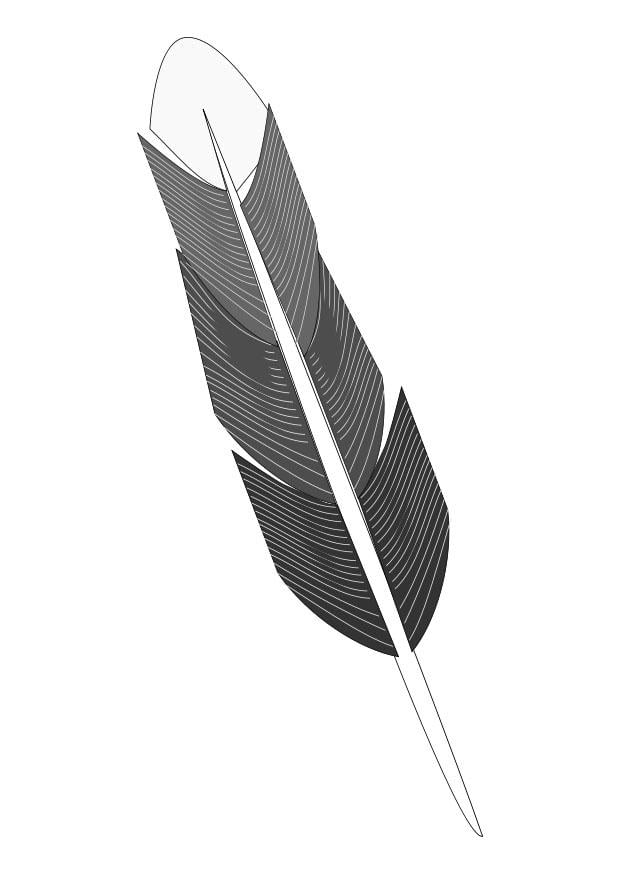 Dibujo para colorear pluma