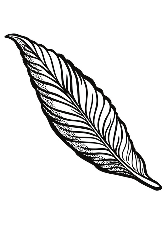 Dibujo Para Colorear Pluma Dibujos Para Imprimir Gratis