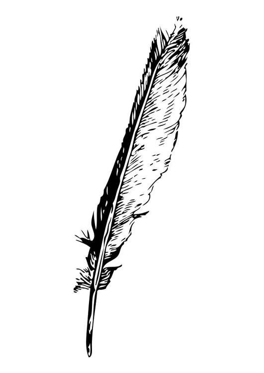 pluma