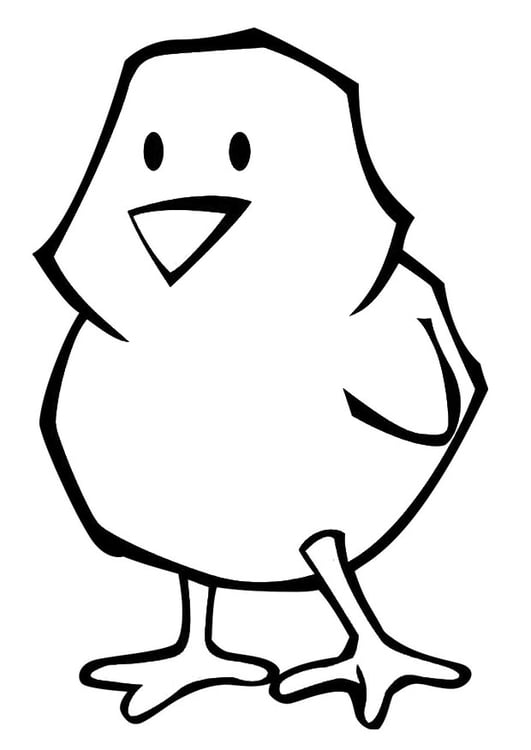 Dibujo para colorear pollito