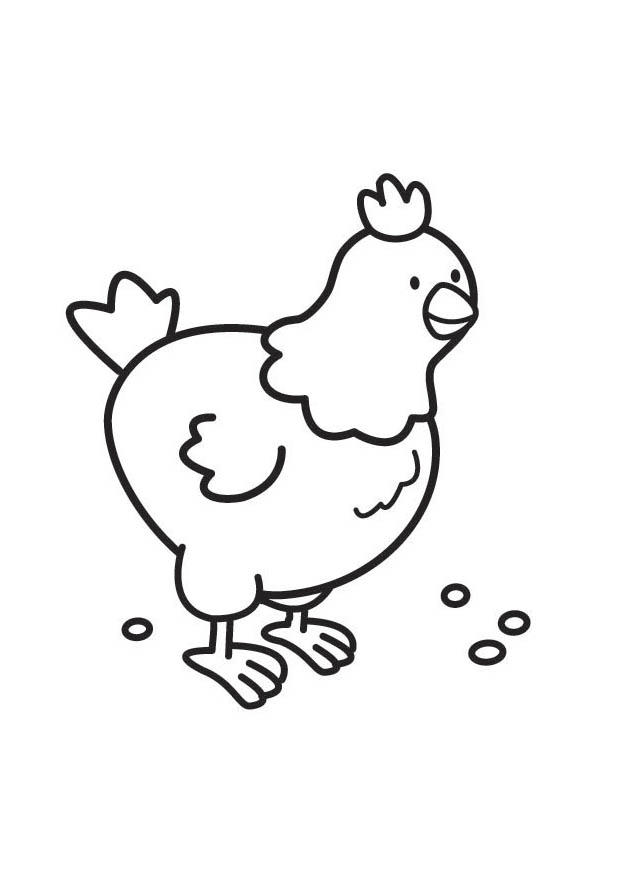 Dibujo para colorear pollo
