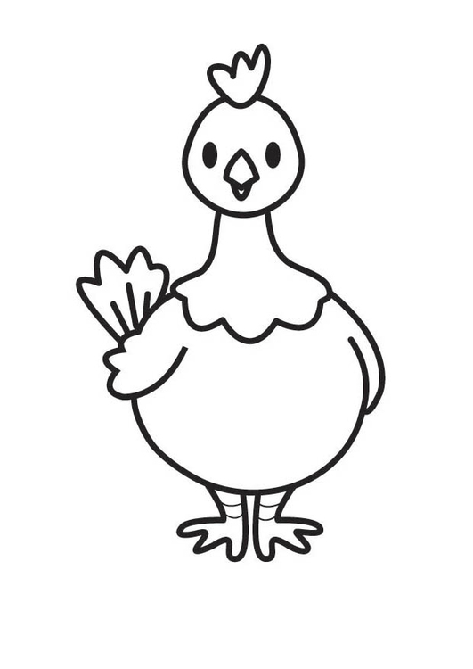 Dibujo para colorear pollo