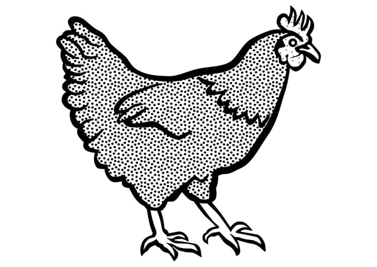 Dibujo para colorear pollo