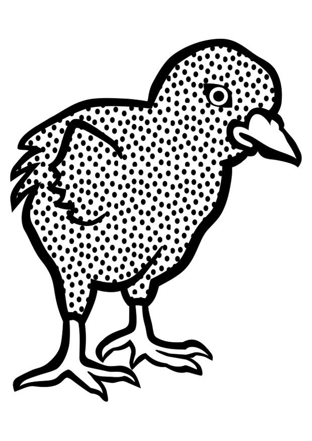 Dibujo para colorear polluelos