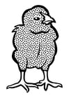 Dibujos para colorear polluelos