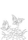 Dibujo para colorear primavera, mariposas junto a las flores