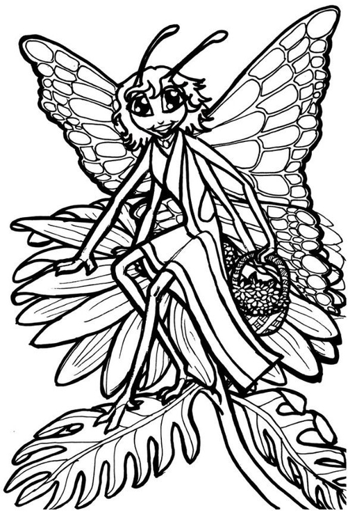 Dibujo para colorear Princesa mariposa