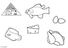 Dibujos para colorear Productos de origen animal