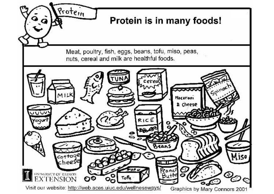 Dibujo para colorear Proteínas en nuestra alimentación - Dibujos Para  Imprimir Gratis - Img 5926