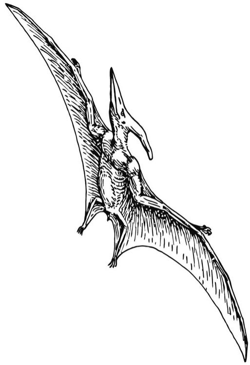 Pterodactylo