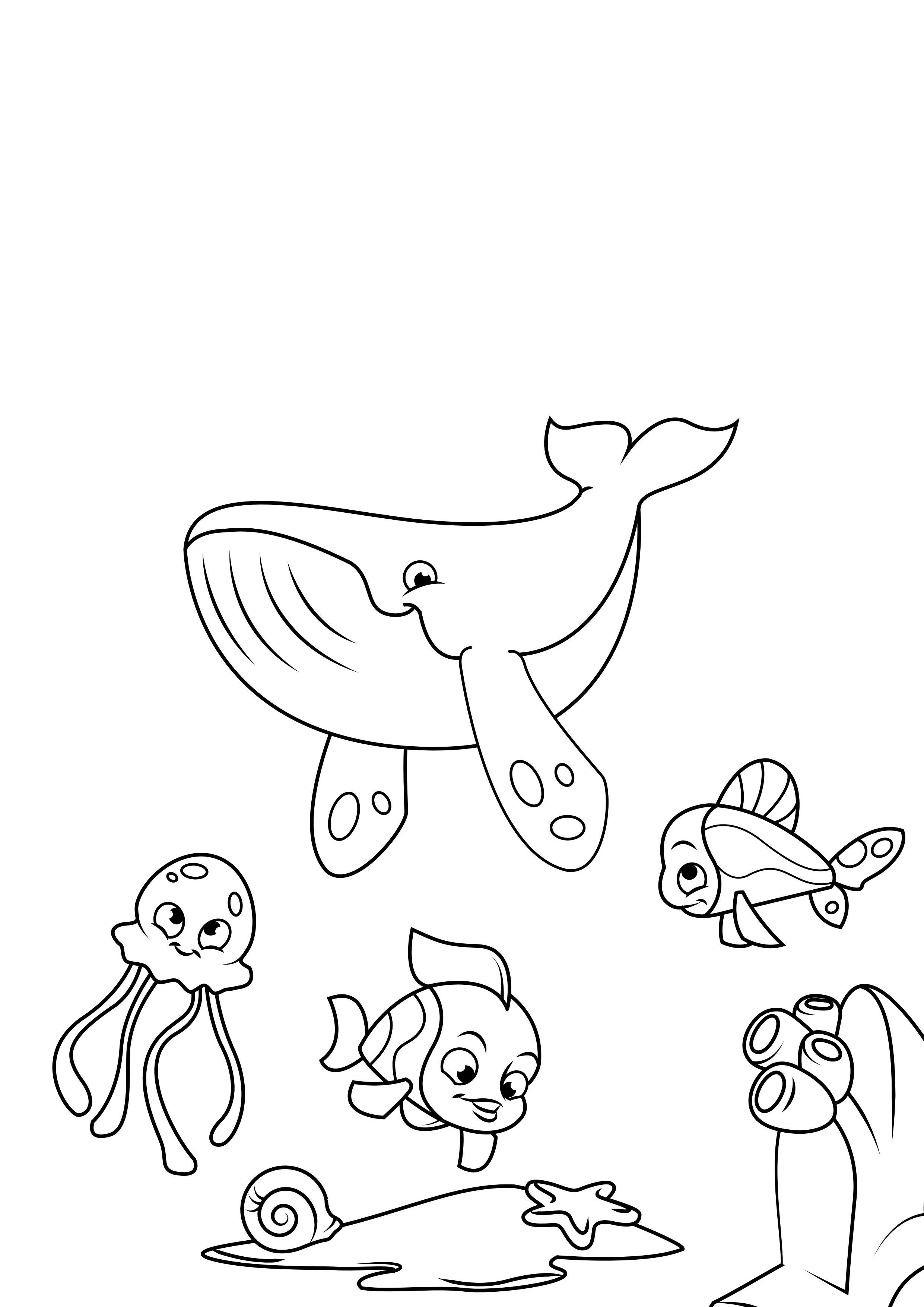 Dibujo para colorear pulpo ballena y pescado