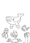 Dibujos para colorear pulpo ballena y pescado