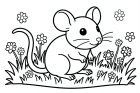 ratón