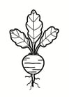 Dibujos para colorear remolacha