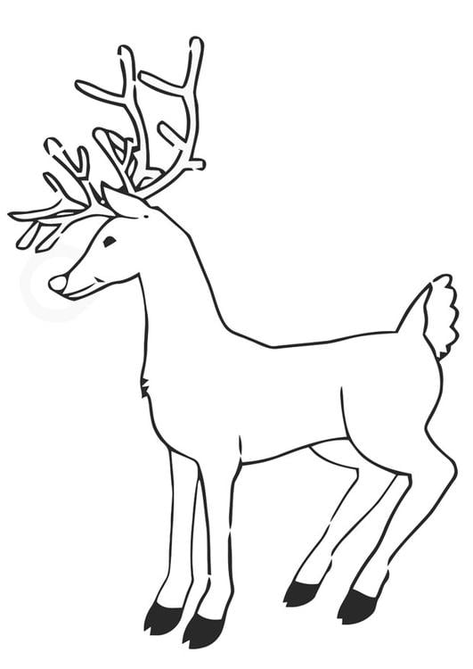 1500 Reno Navideño Ilustraciones gráficos vectoriales libres de derechos  y clip art  iStock  Reno navidad Navidad Santa claus