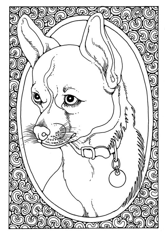 retrato de perro