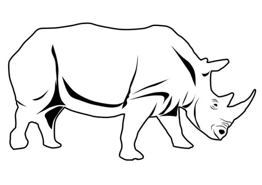 Dibujo para colorear rinoceronte