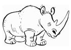 Dibujo para colorear Rinoceronte