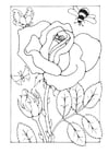 Dibujo para colorear rosa con abeja y mariposa