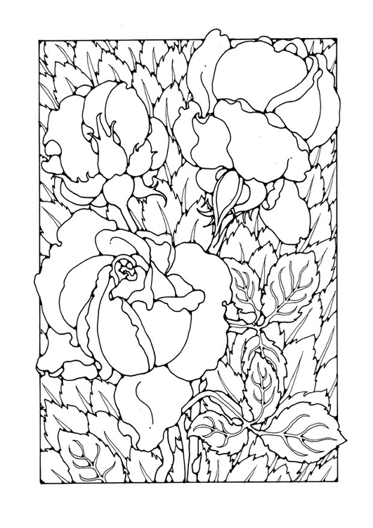 Dibujo para colorear rosas