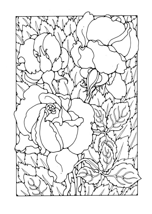 Dibujo para colorear rosas