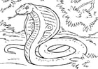 Dibujo para colorear serpiente - cobra